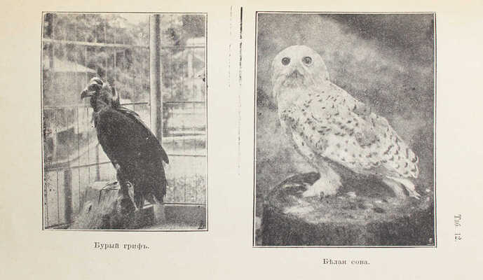 Шарлемань Э. Каталог Киевского зоологического сада / Киевское общество любителей природы. Киев, 1911.